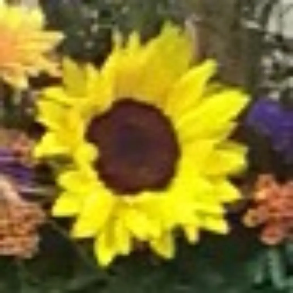 dorcasrebanha.bsky.social's profile picture