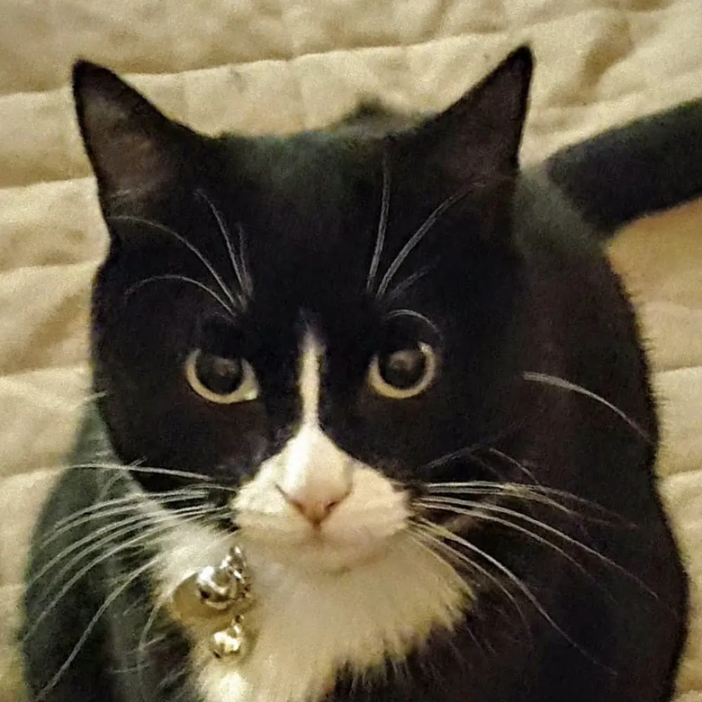 seabreez22.bsky.social's profile picture