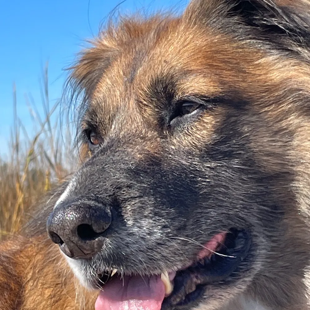 nonplussed73.bsky.social's profile picture