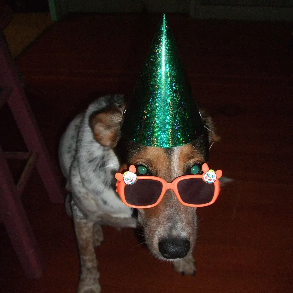 marty-beck.bsky.social's profile picture