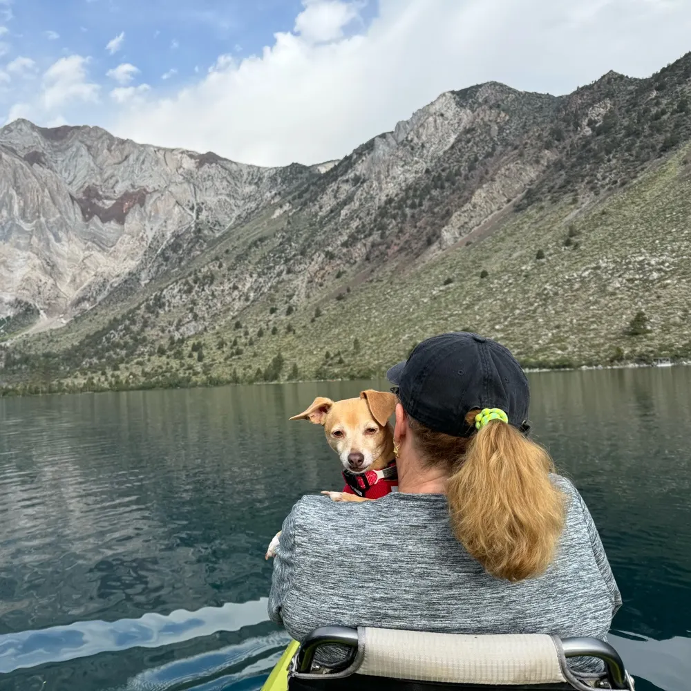 newkneesdbt.bsky.social's profile picture