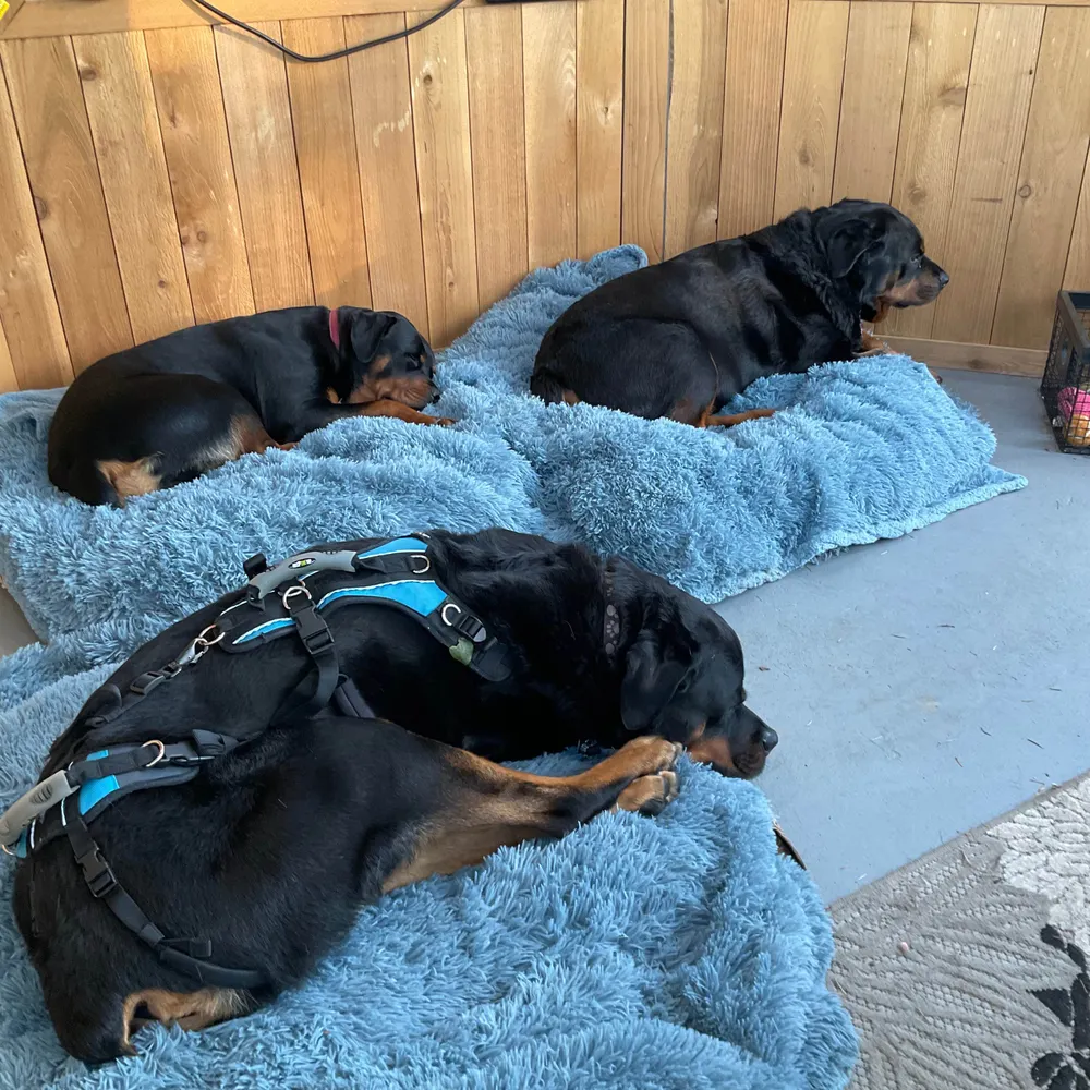 hayleyml.bsky.social's profile picture