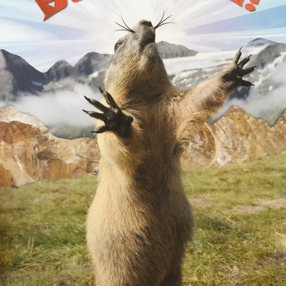 1amfunk.bsky.social's profile picture