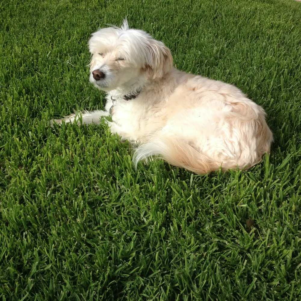 cd-eps.bsky.social's profile picture