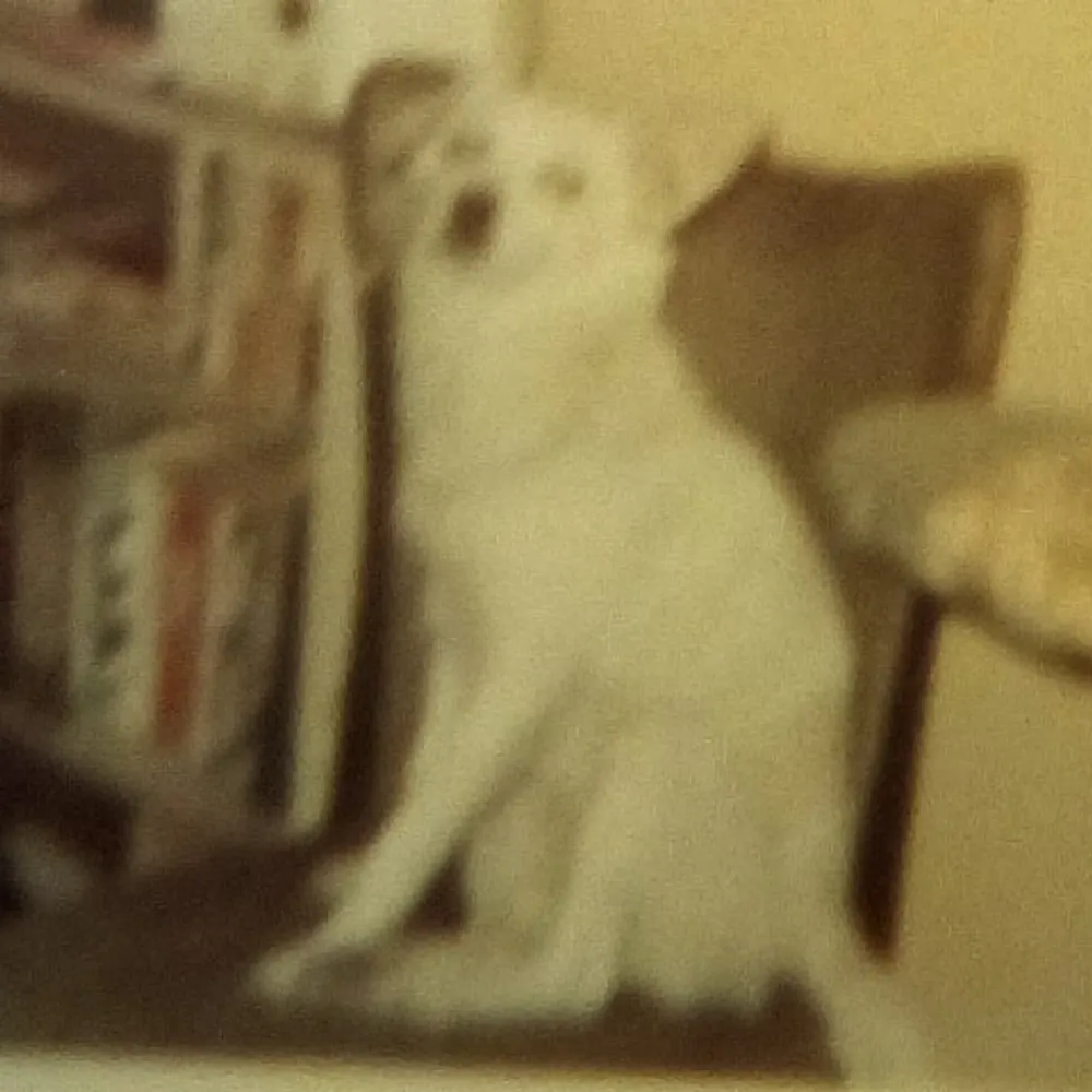 teresalouise.bsky.social's profile picture