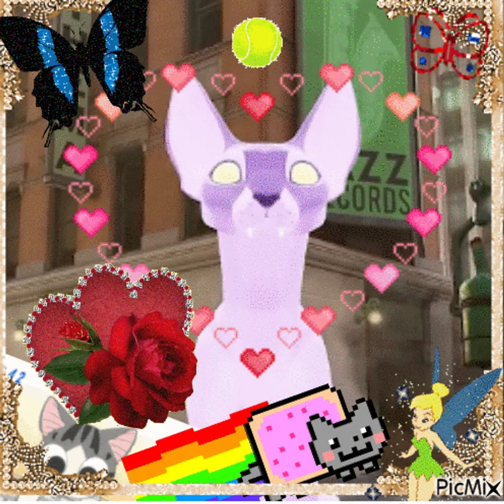 radflip.bsky.social's profile picture