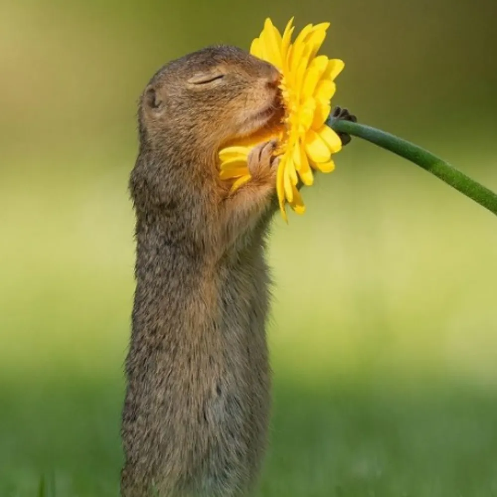 pam-10.bsky.social's profile picture