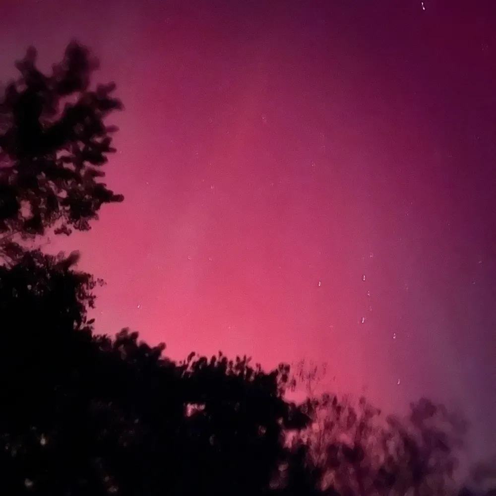 bluedotinmaine.bsky.social's profile picture