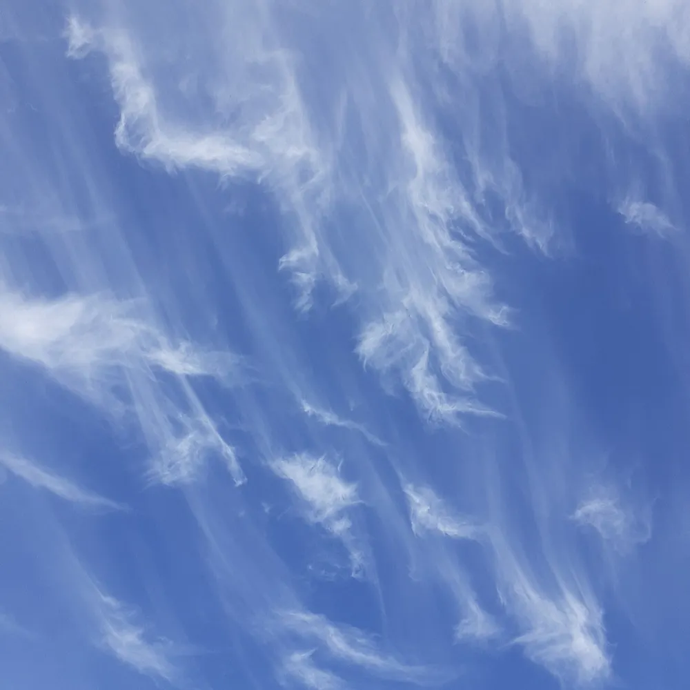 sea-clarke-pdx.bsky.social's profile picture