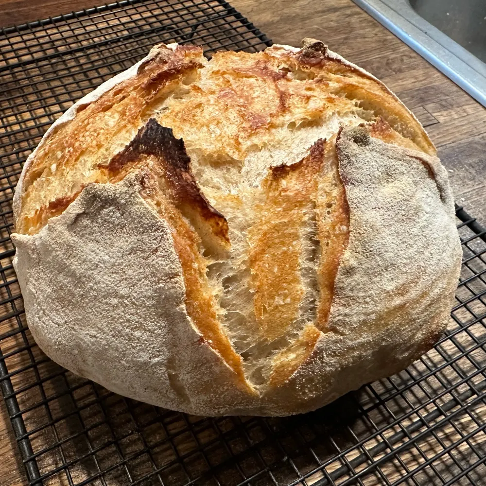 frugaltoast.bsky.social's profile picture