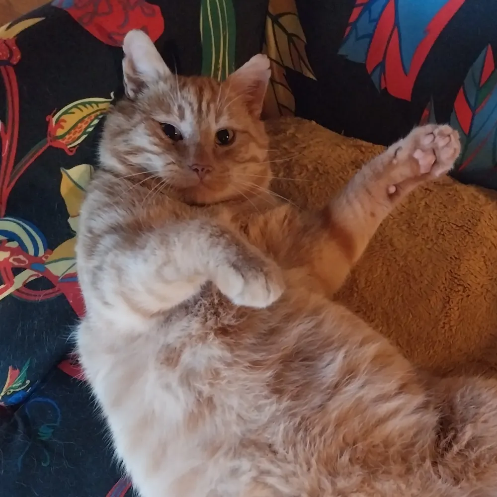 dochasisgra.bsky.social's profile picture