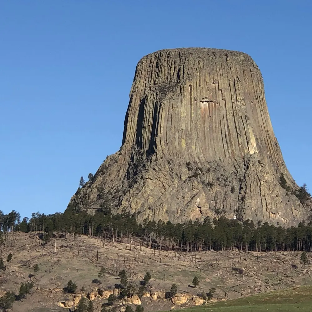 davidbeloit.bsky.social's profile picture