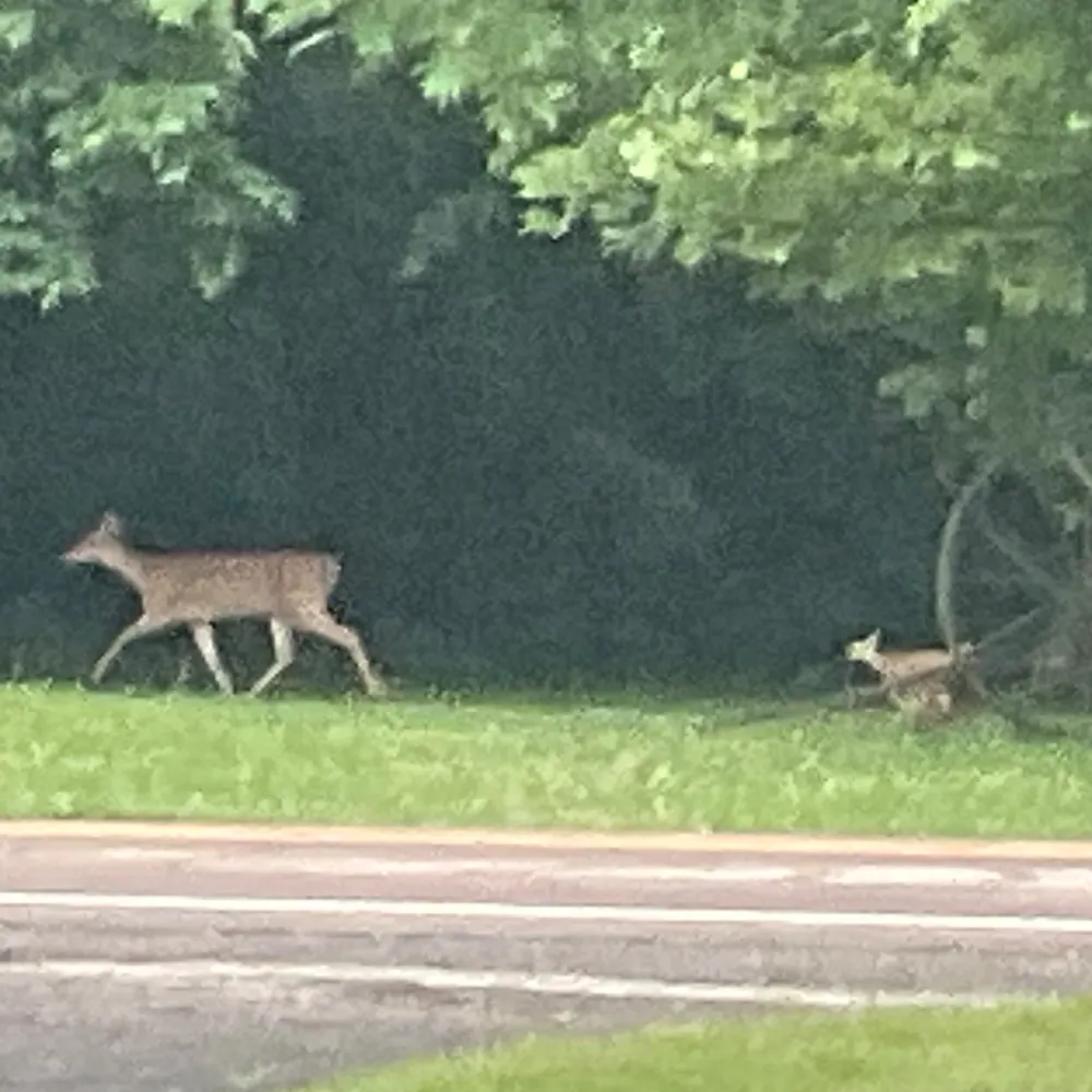 aslowdriver.bsky.social's profile picture