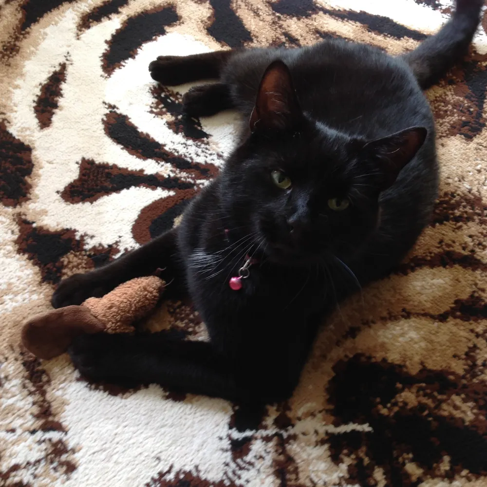 cns46z.bsky.social's profile picture