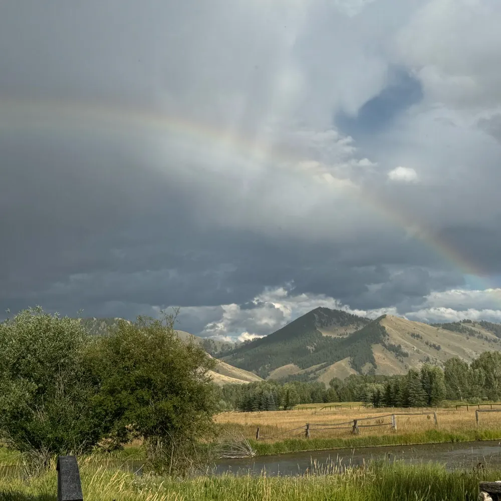 walkerwest.bsky.social's profile picture