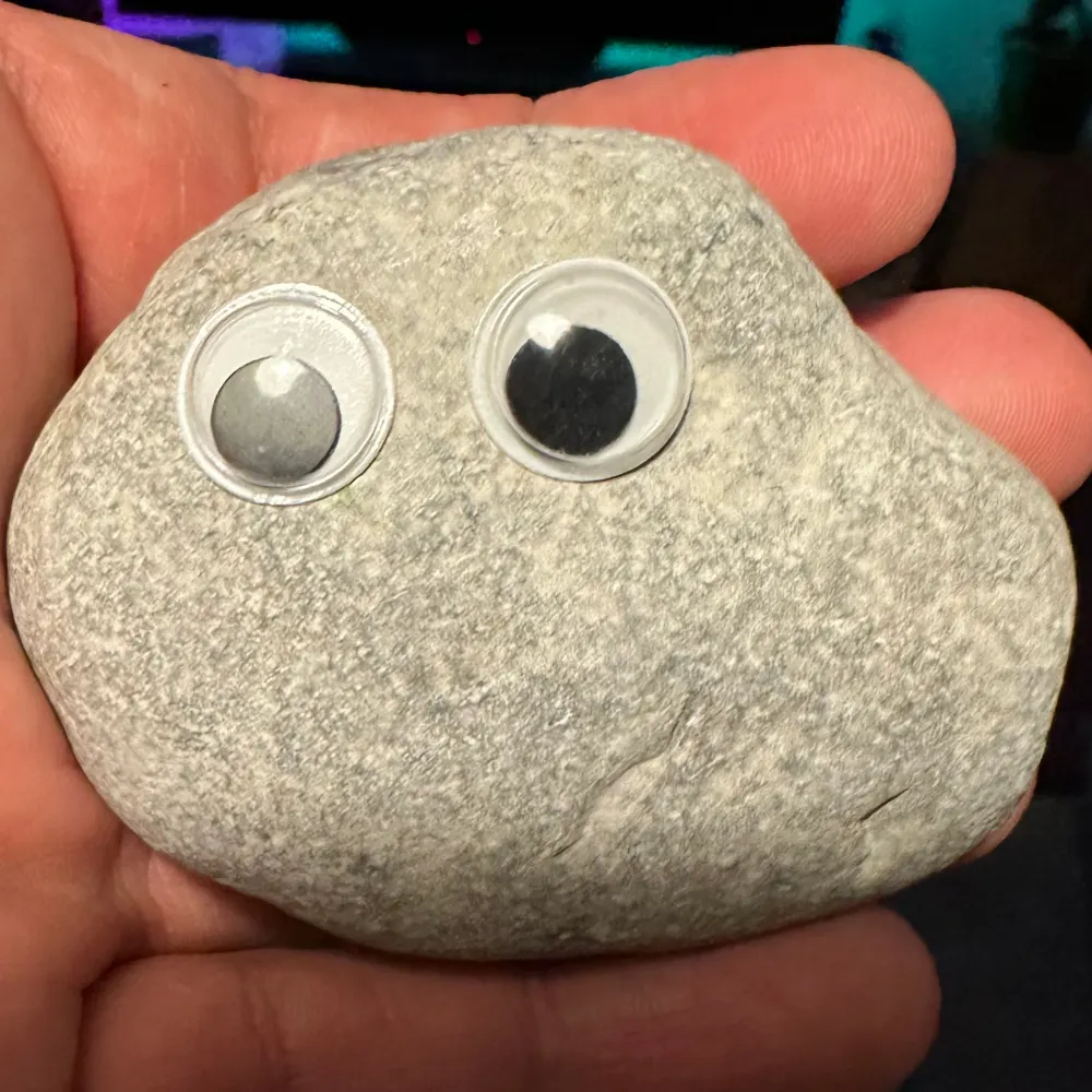 vtr.bsky.social's profile picture