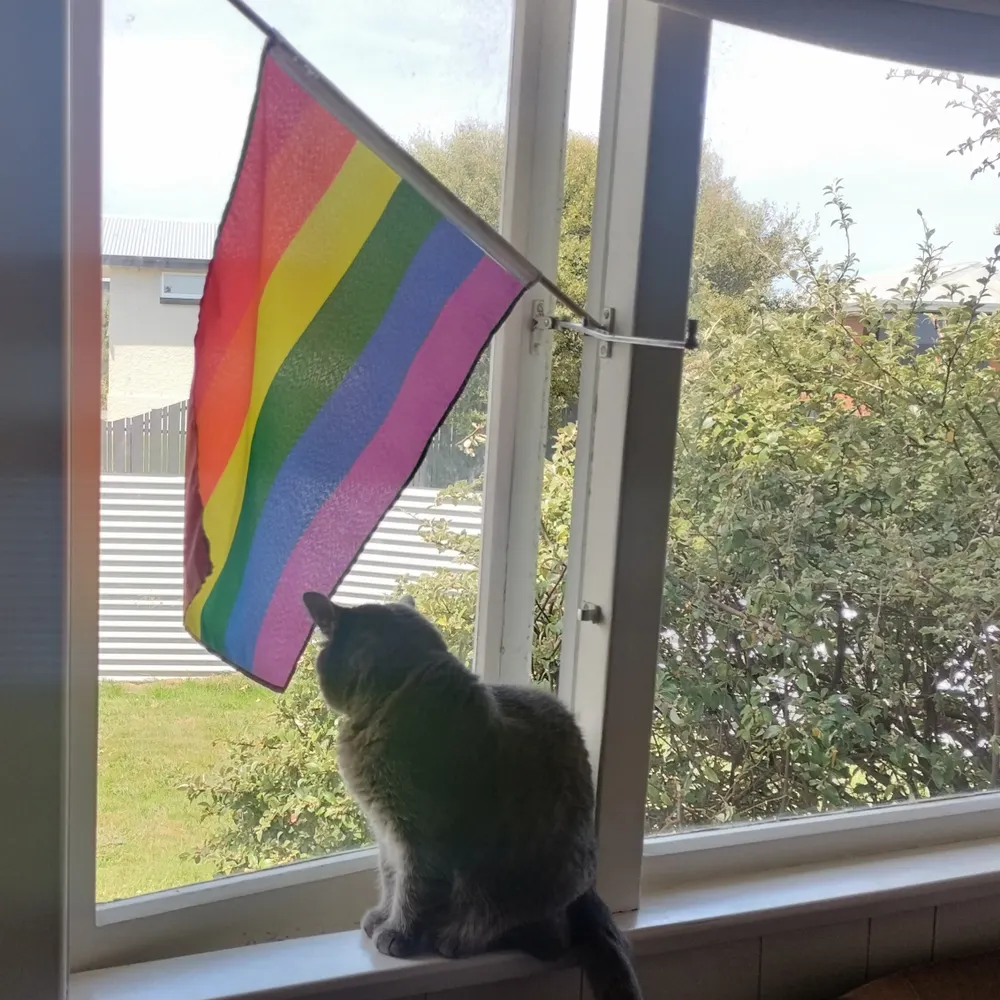 malfunctioning.bsky.social's profile picture