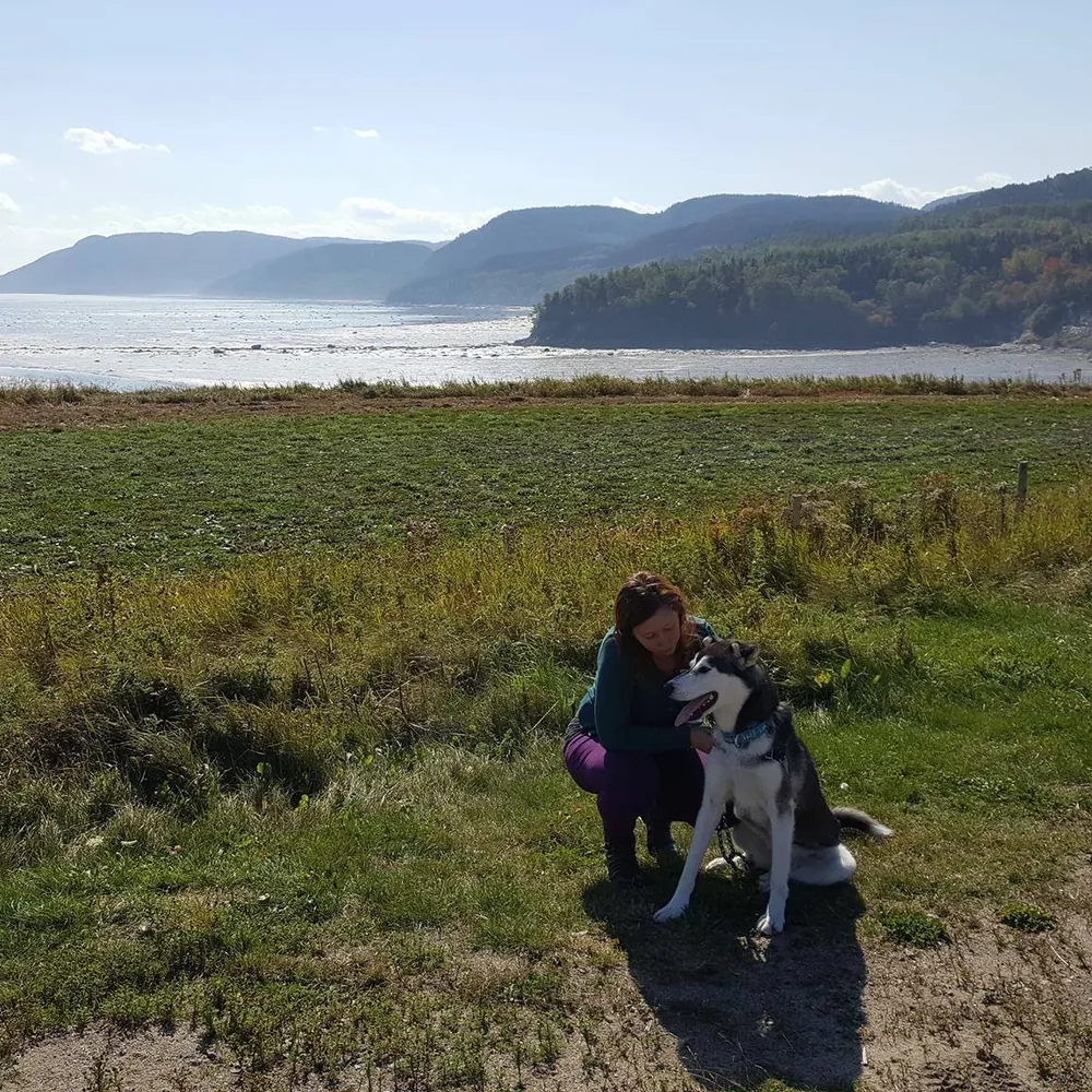 josianeasselin.bsky.social's profile picture