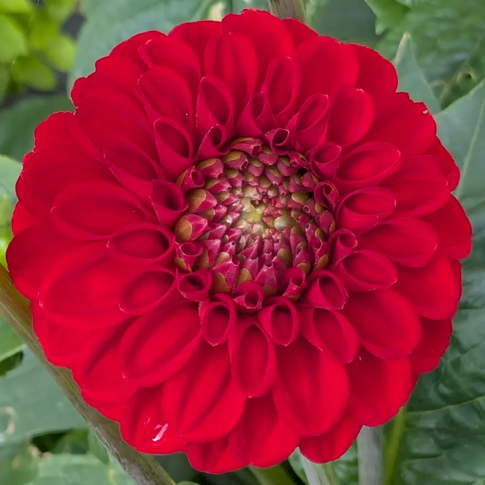 scorpions51.bsky.social's profile picture