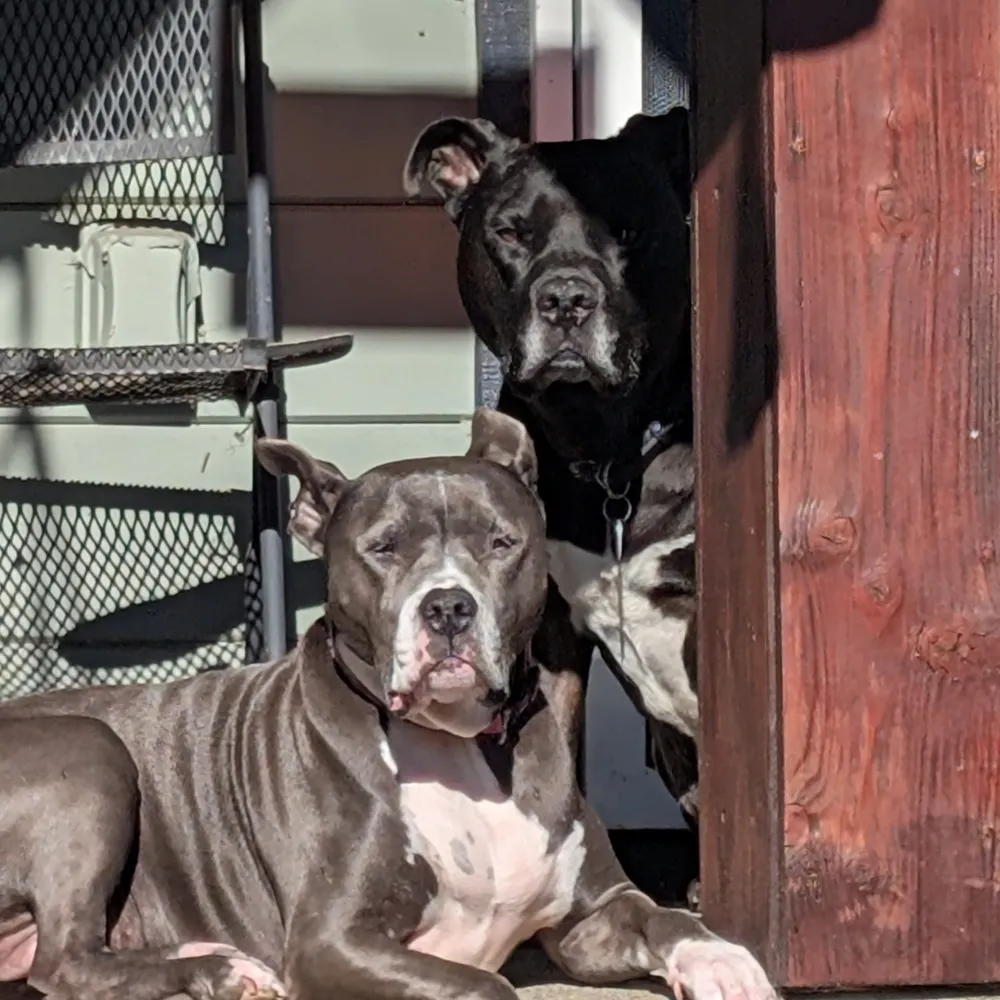 doctoratto.bsky.social's profile picture