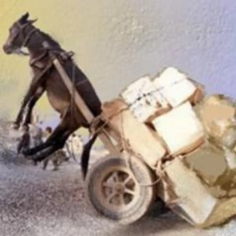 ritamcredlight.bsky.social's profile picture