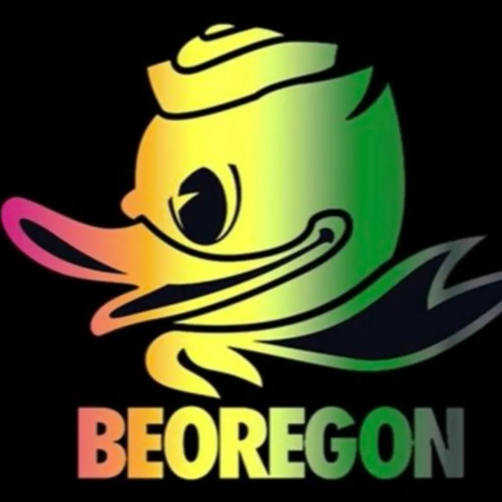 ducklady.bsky.social's profile picture