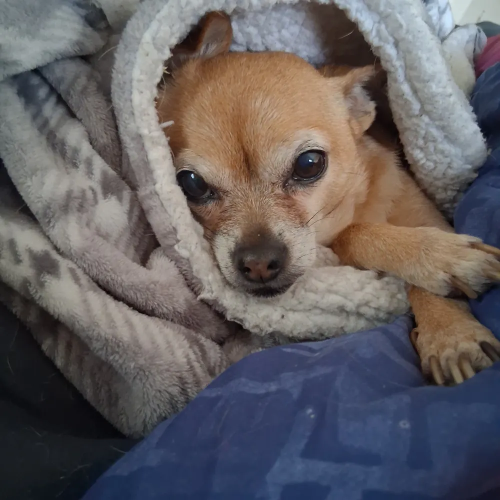 phoenixg75.bsky.social's profile picture