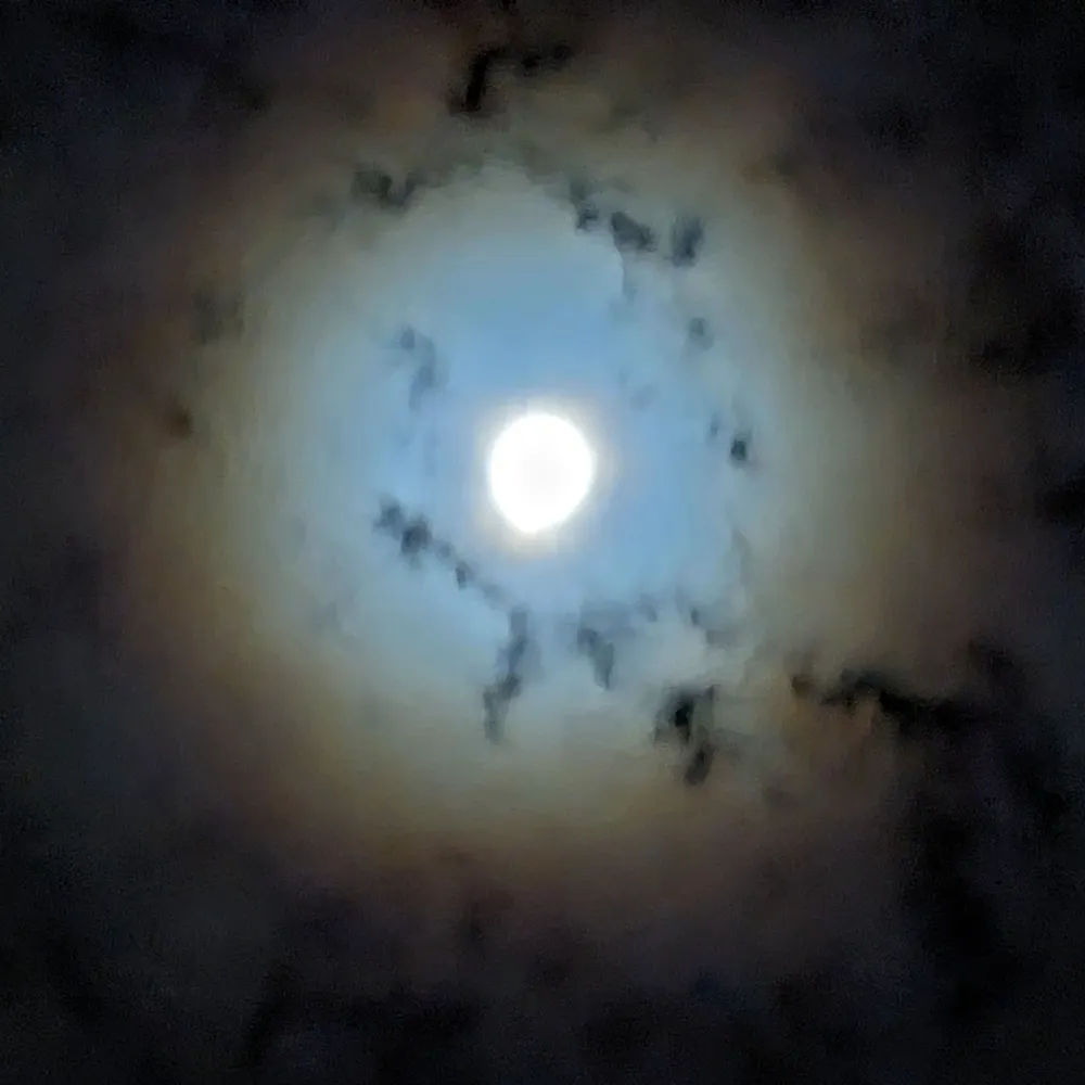 elliscoombs.bsky.social's profile picture