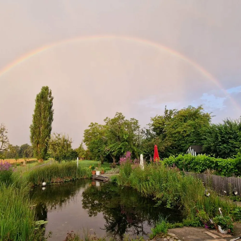 hermannschapek.bsky.social's profile picture