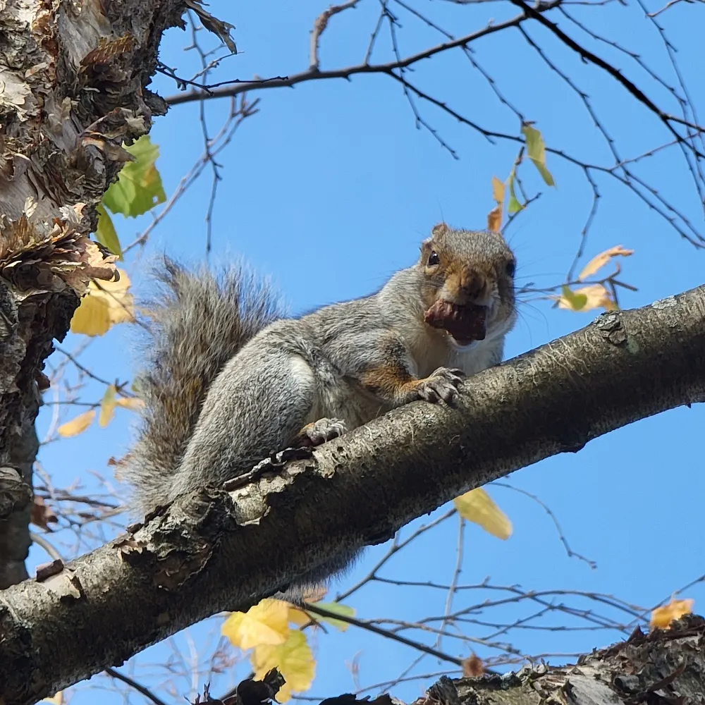 ecokady.bsky.social's profile picture