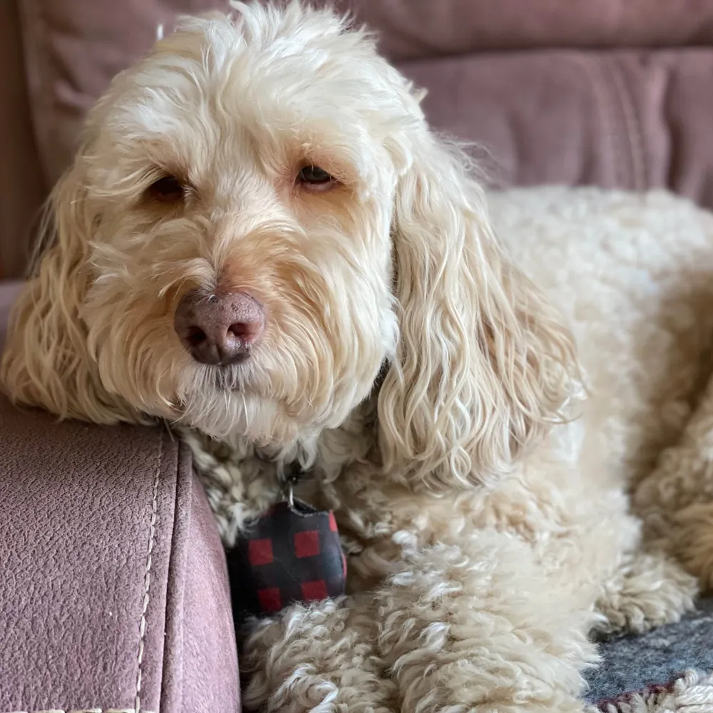 jilybythebay.bsky.social's profile picture