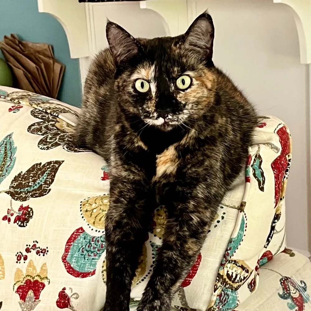 myfiona.bsky.social's profile picture