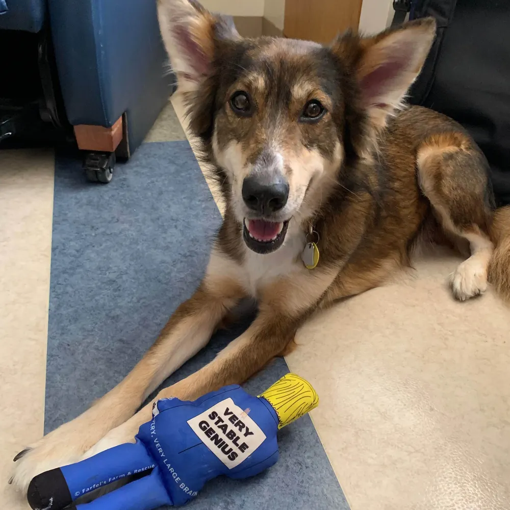 tymcbray.bsky.social's profile picture