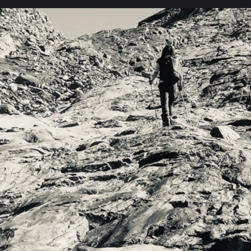 varanasi-swiss.bsky.social's profile picture