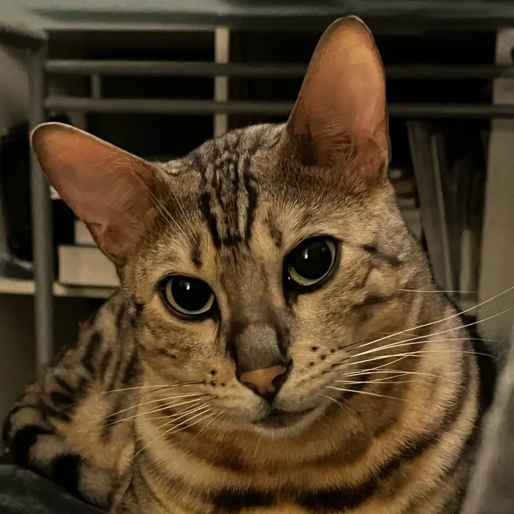 anmle.bsky.social's profile picture