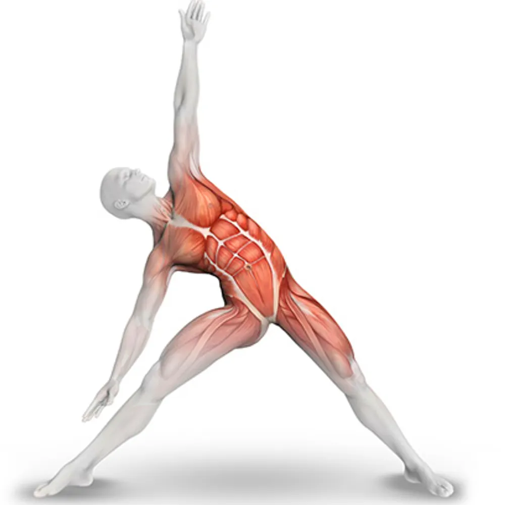 sirbobofambler.bsky.social's profile picture