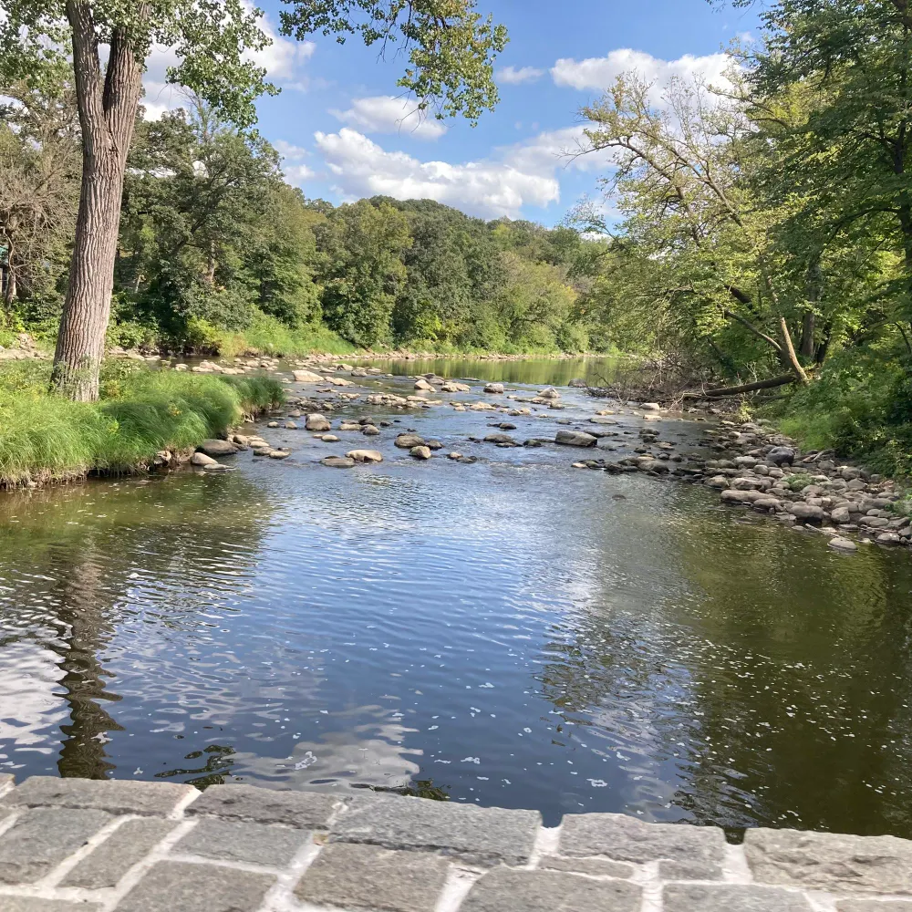 bluesuzy23.bsky.social's profile picture