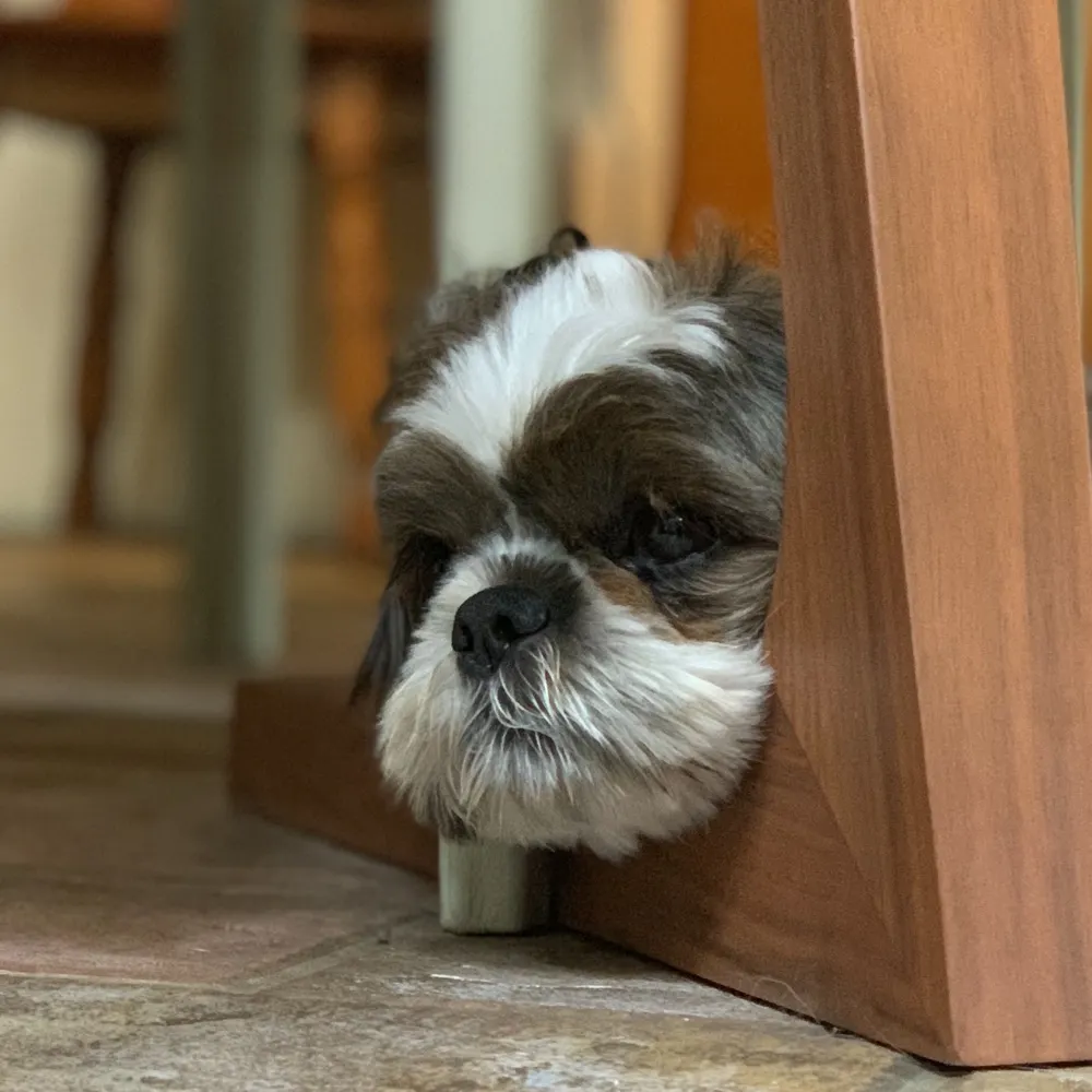 kevin19641226.bsky.social's profile picture