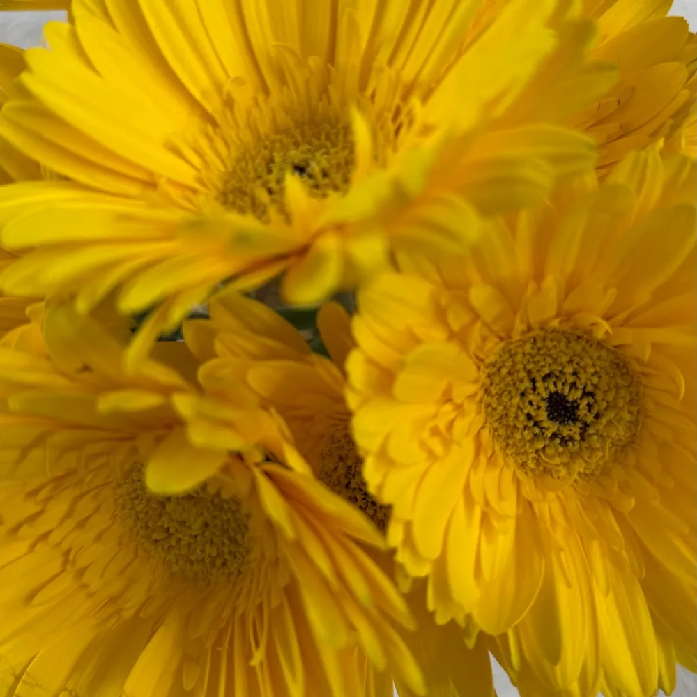 jlb71.bsky.social's profile picture