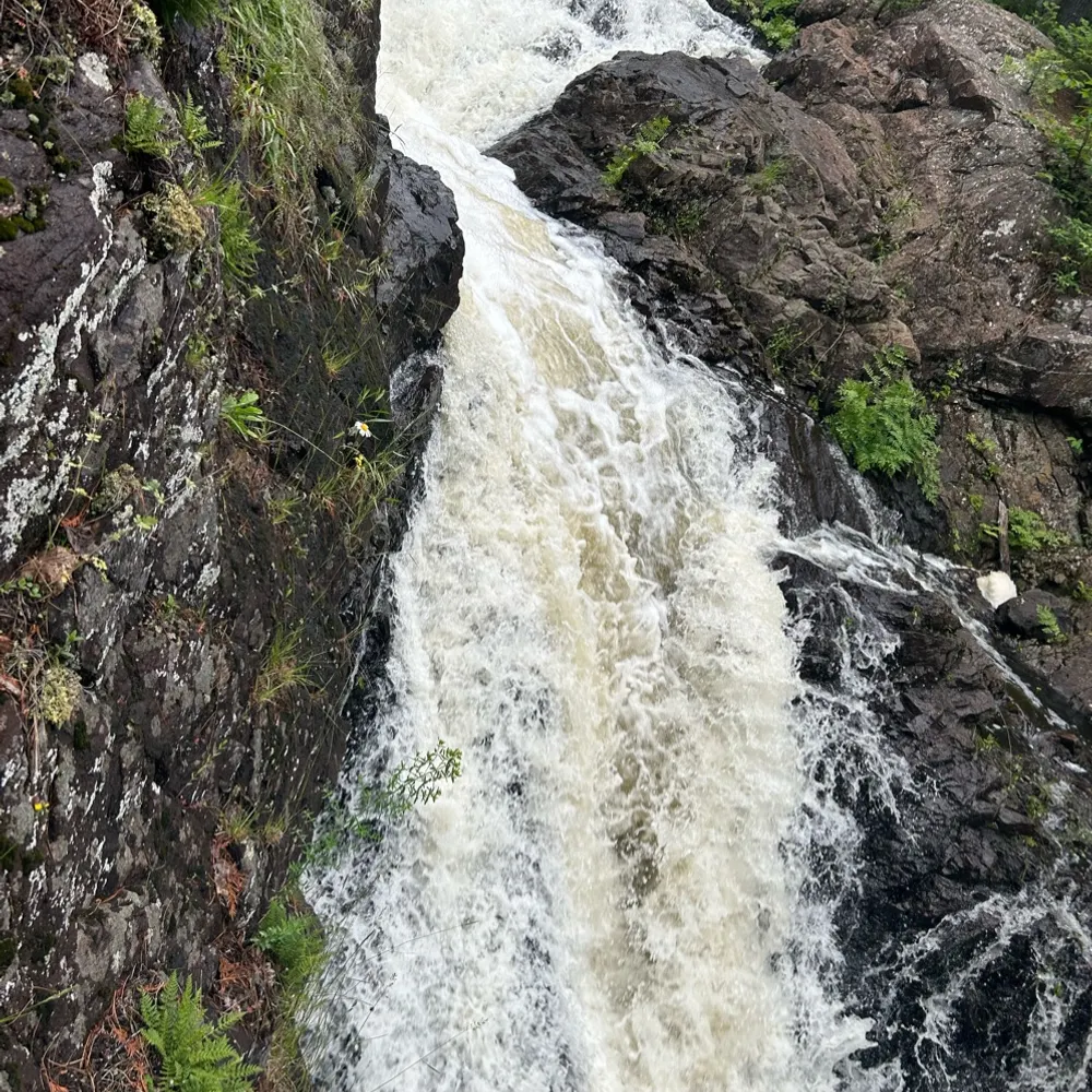 jimmy-borealis.bsky.social's profile picture