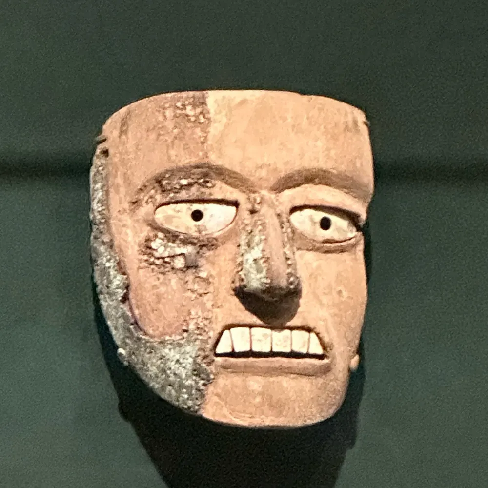 dorand.bsky.social's profile picture