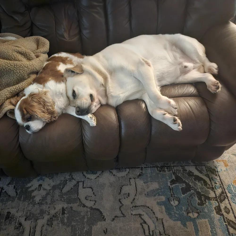 bassgardener.bsky.social's profile picture