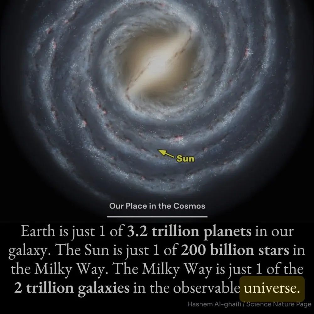 joanjon222.bsky.social's profile picture