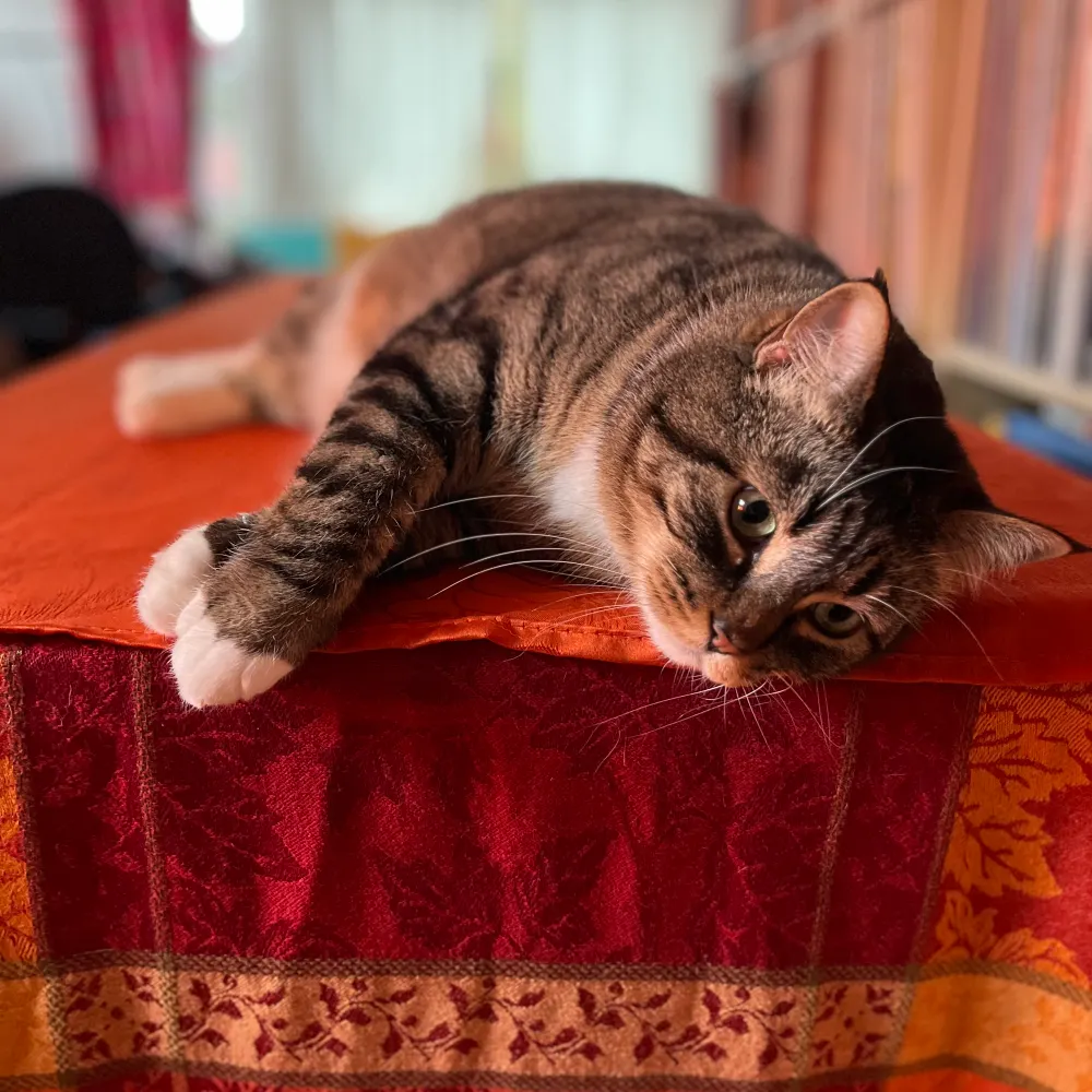 golikehellmachine.com's profile picture