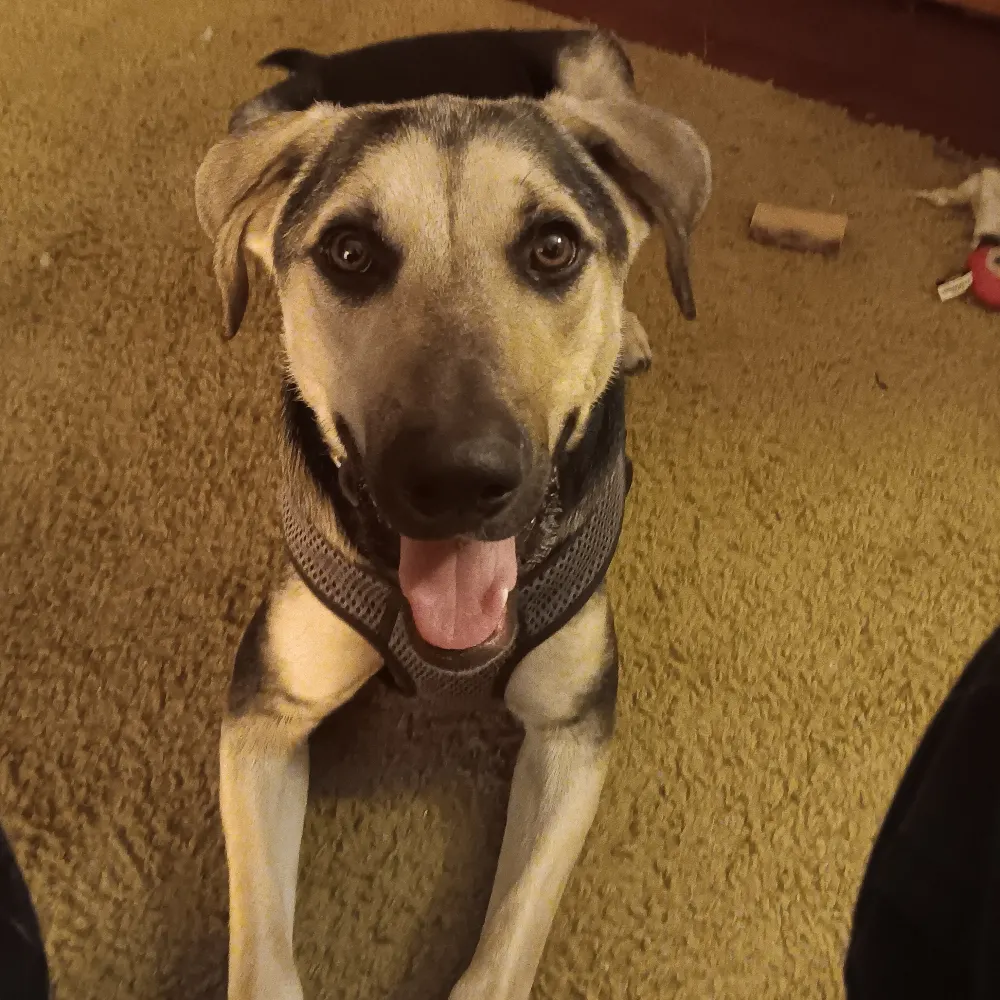 lucianlucien.bsky.social's profile picture