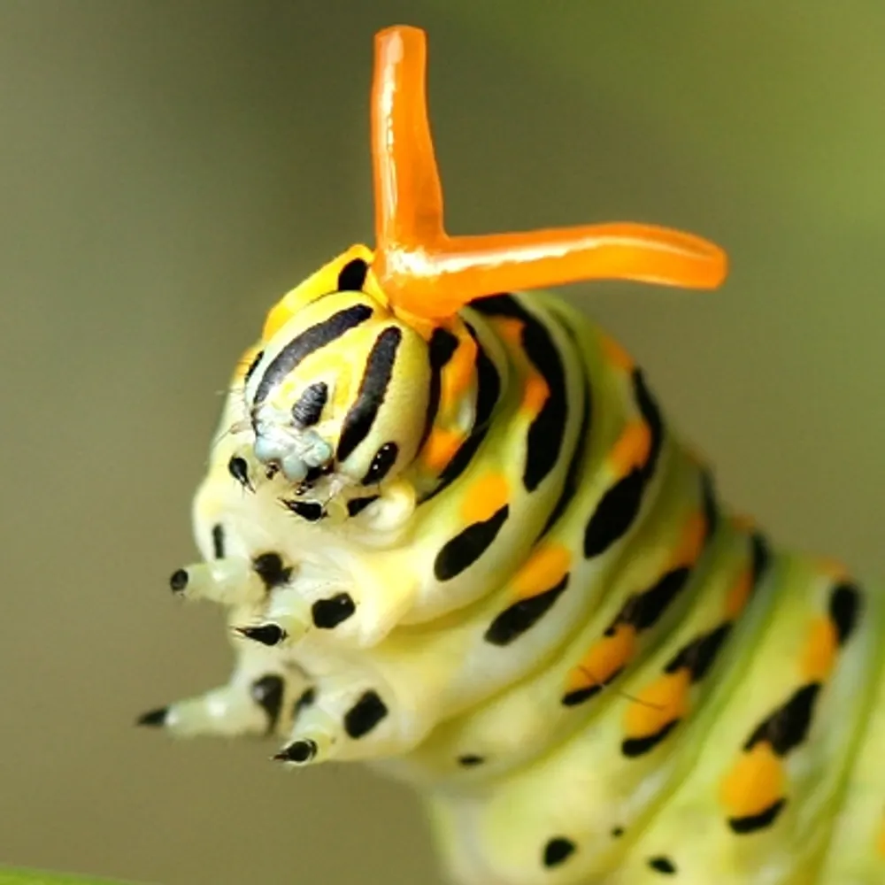 unraptured.bsky.social's profile picture