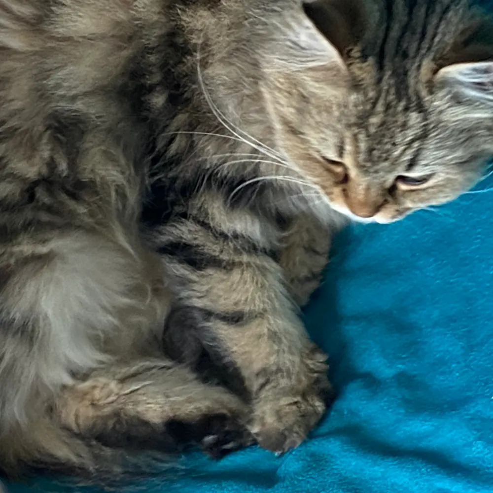 ali-uoko.bsky.social's profile picture