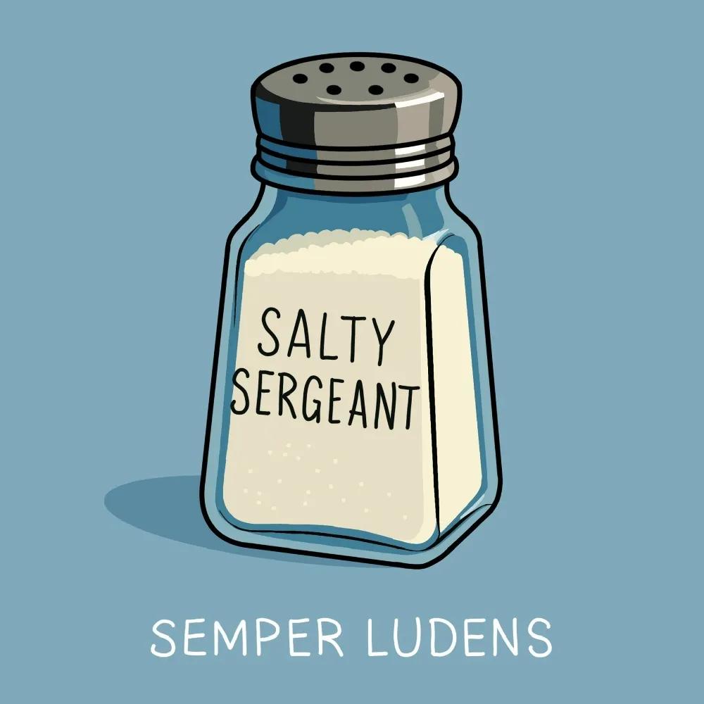 saltysgt.bsky.social's profile picture