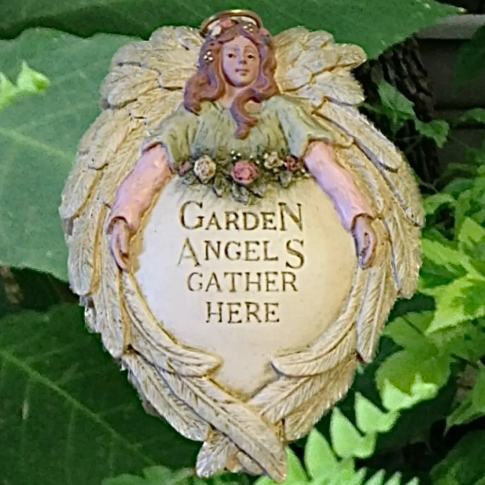 gardenofangels.bsky.social's profile picture