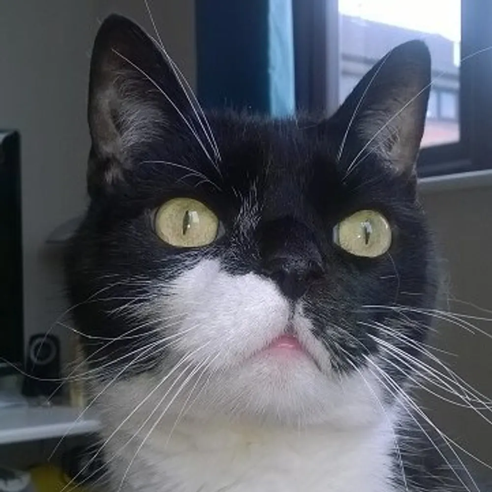 paulcwgb.bsky.social's profile picture